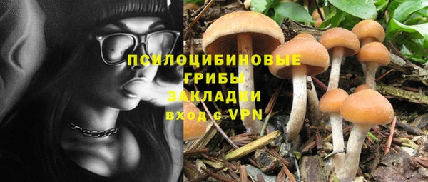 первитин Медвежьегорск