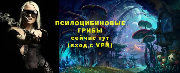 первитин Медвежьегорск