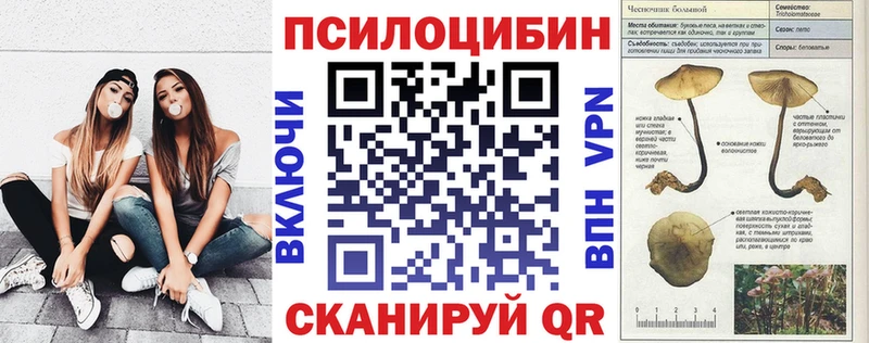 Псилоцибиновые грибы GOLDEN TEACHER  продажа наркотиков  Вышний Волочёк 