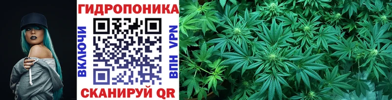 где можно купить наркотик  Вышний Волочёк  Шишки марихуана MAZAR 